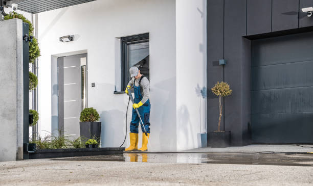 Best Paint Preparation  in Cloverdale, CA